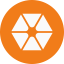primary coin image